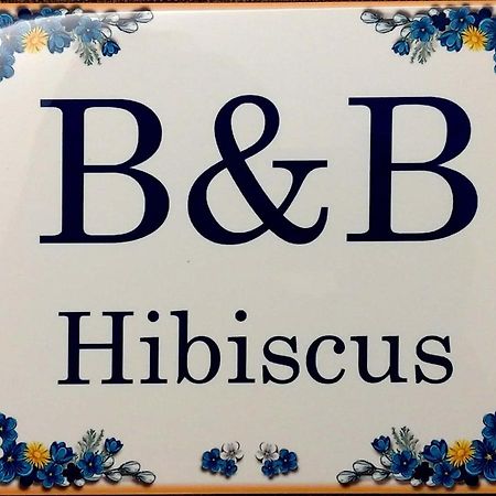 B&B Hibiscus Porto SantʼElpidio Exterior foto